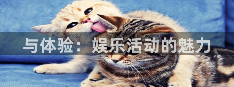 南宫大舞台：与体验：娱乐活动的魅力