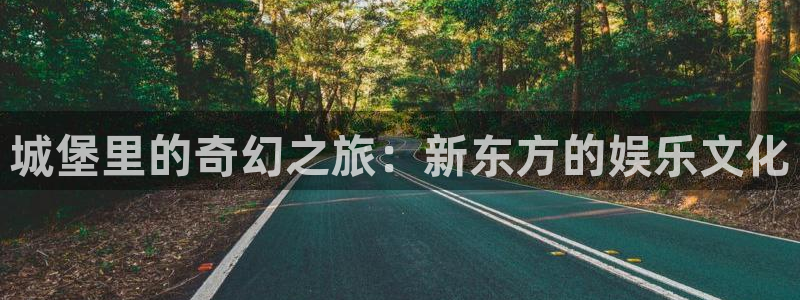 南宫大舞台官网入口：城堡里的奇幻之旅：新东方的娱乐文化