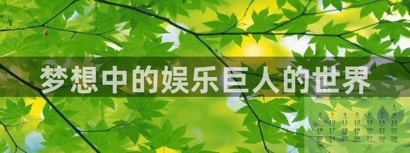 NG大舞台：梦想中的娱乐巨人的世界