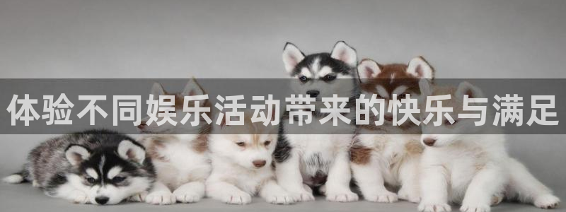 NG大舞台：体验不同娱乐活动带来的快乐与满足