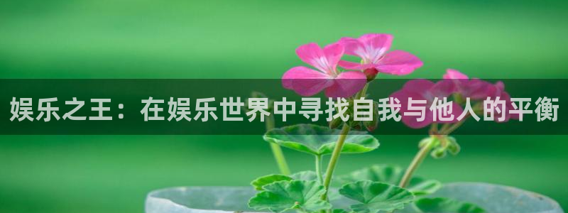 南宫大舞台：娱乐之王：在娱乐世界中寻找自我与他人的平衡