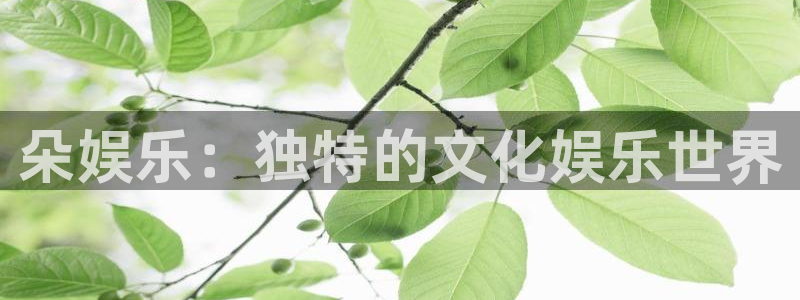 南宫大舞台：朵娱乐：独特的文化娱乐世界