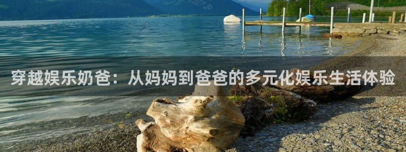 南宫大舞台：穿越娱乐奶爸：从妈妈到爸爸的多元化娱乐生活体验