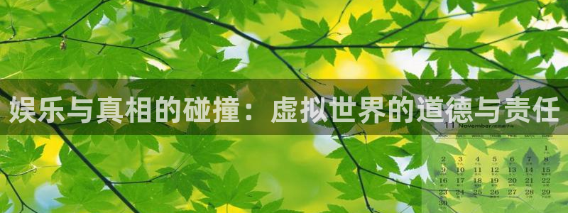 南宫大舞台：娱乐与真相的碰撞：虚拟世界的道德与责任