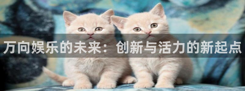 NG大舞台：万向娱乐的未来：创新与活力的新起点