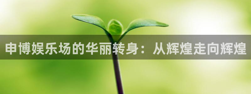 南宫大舞台：申博娱乐场的华丽转身：从辉煌走向辉煌