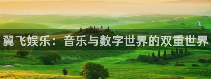 南宫大舞台：翼飞娱乐：音乐与数字世界的双重世界