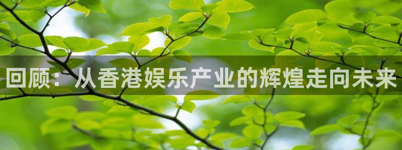 NG大舞台：回顾：从香港娱乐产业的辉煌走向未来