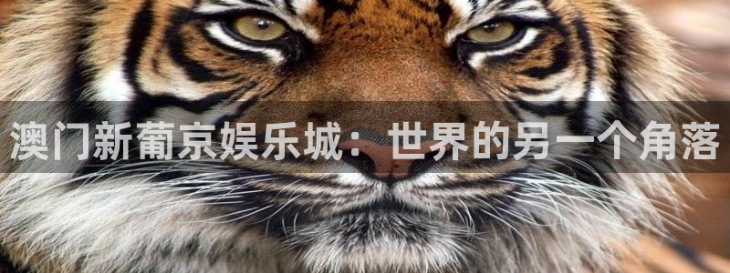 南宫大舞台官网入口：澳门新葡京娱乐城：世界的另一个角落
