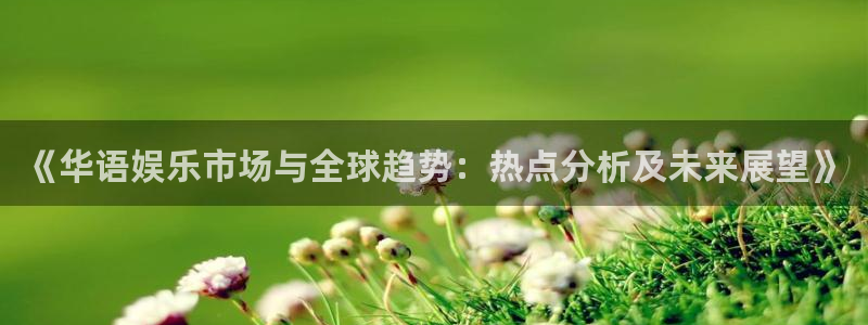 南宫大舞台：《华语娱乐市场与全球趋势：热点分析及未来展望》