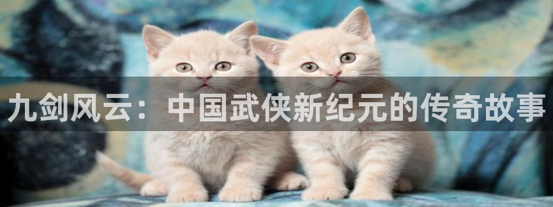 NG大舞台：九剑风云：中国武侠新纪元的传奇故事