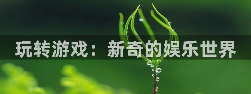 南宫大舞台官网入口：玩转游戏：新奇的娱乐世界